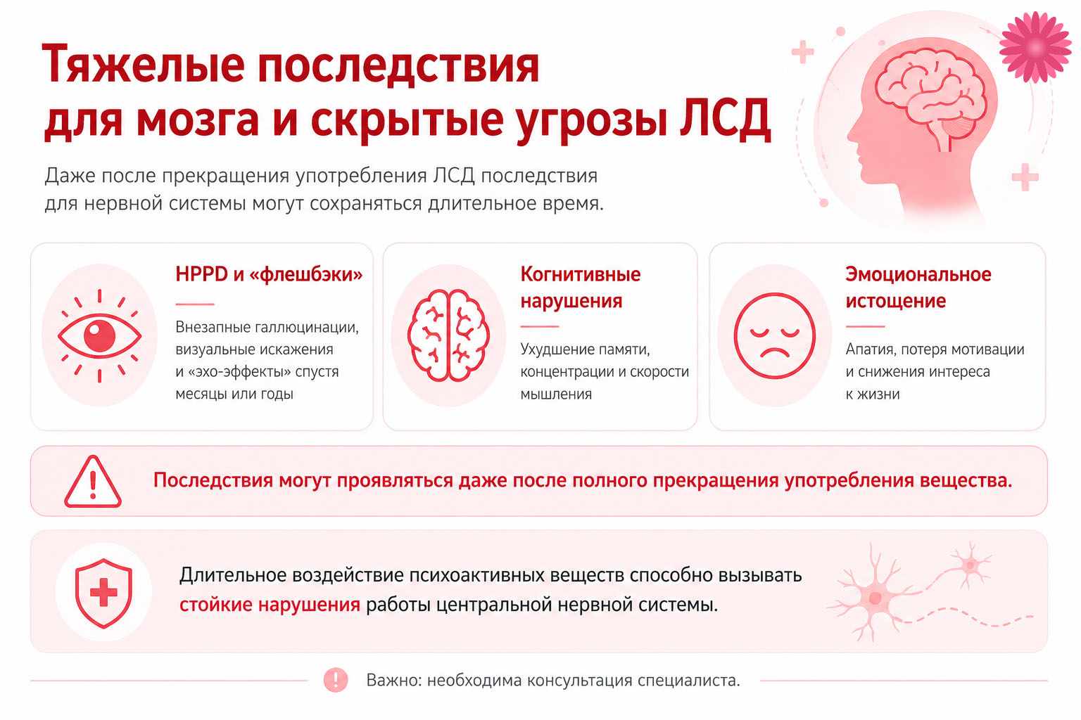 Последствия для мозга при употреблении лсд инфографика